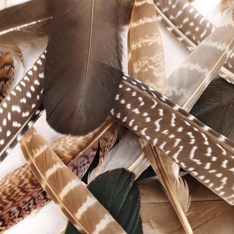 Daieeparty 15pcs Pheasant Feathers 5-8inch Natural Craft Feather for Home DIY Dreamcatcher Hat Costumes Decoration(5 Styles) - Image 4